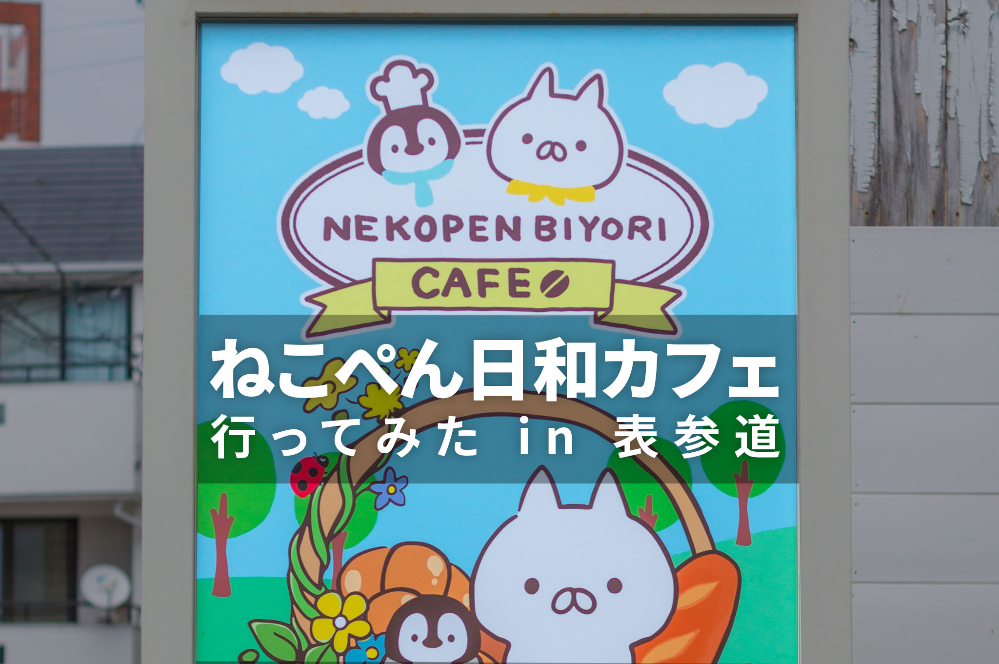 ぺん 東京 駅 ねこ 日 和